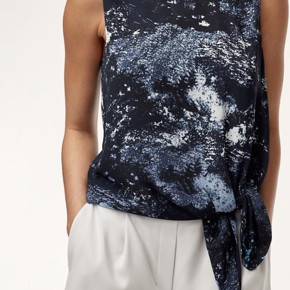 Aritzia Babaton Hopkins Blouse View 5